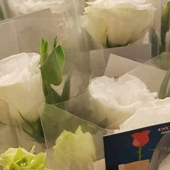 תמונה של -  סיכום שנת 2018